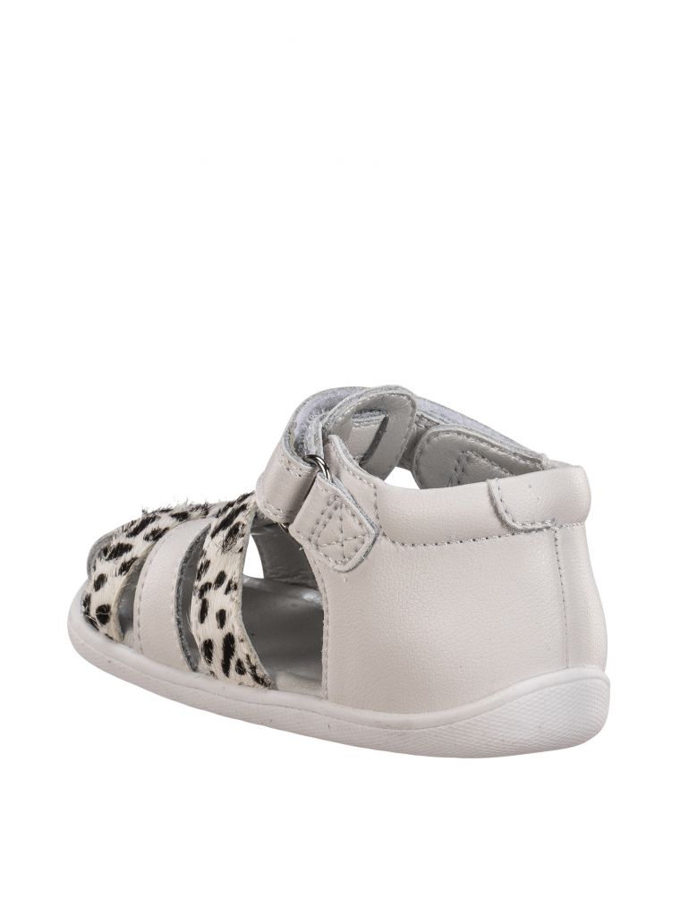 צעד ראשון בנות ווילי סגור