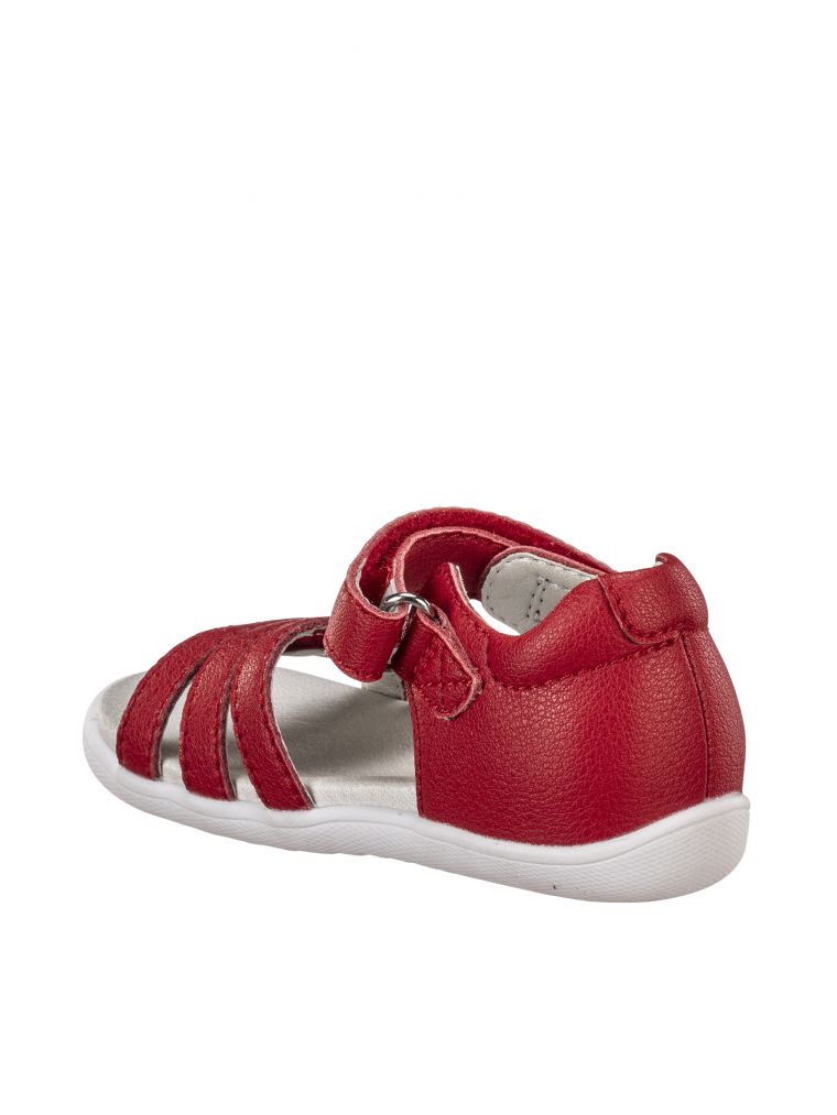 צעד ראשון בנות ווילי לב