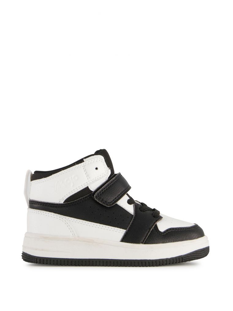 שלושת רבעי נליו גבוהה