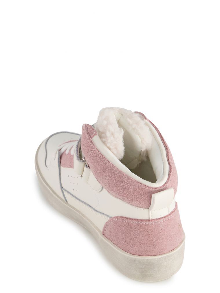 שלושת רביעי קלי סקוצ’