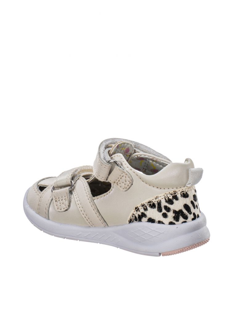 ספורטיפיי מיוחד