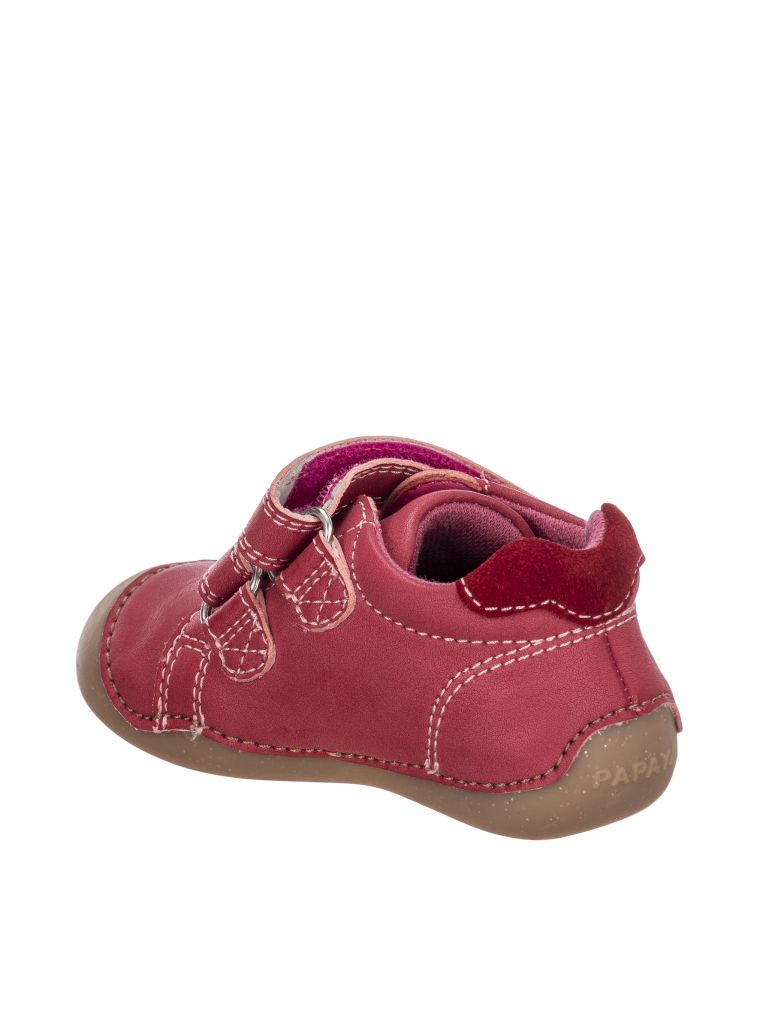 צעד ראשון פופי כוכבים