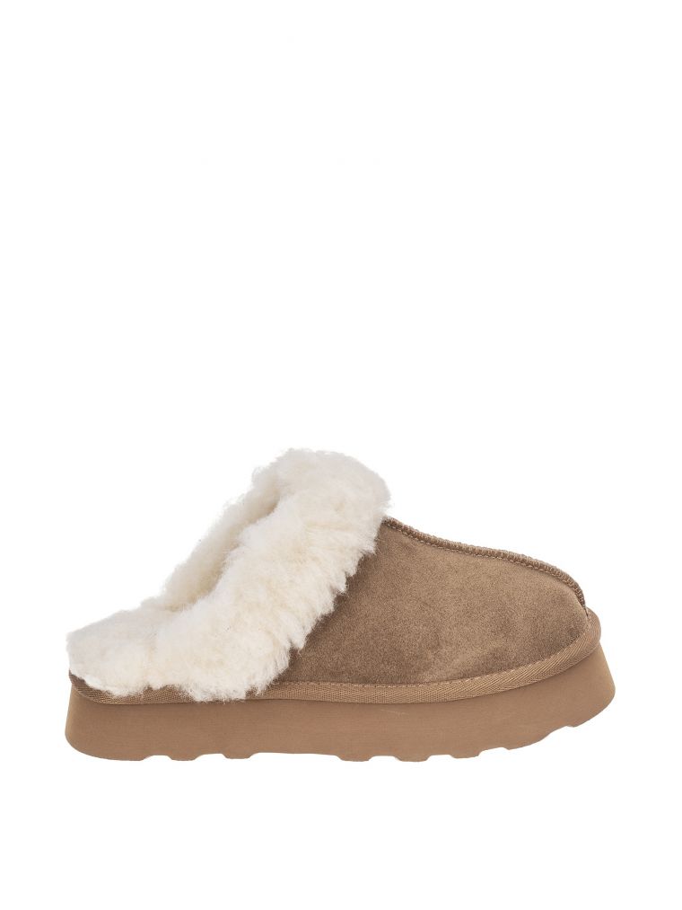 אריאנה כפכף