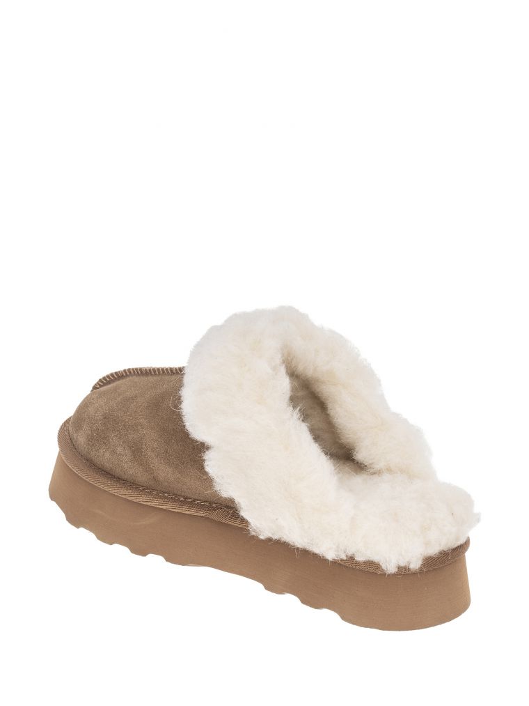 אריאנה כפכף