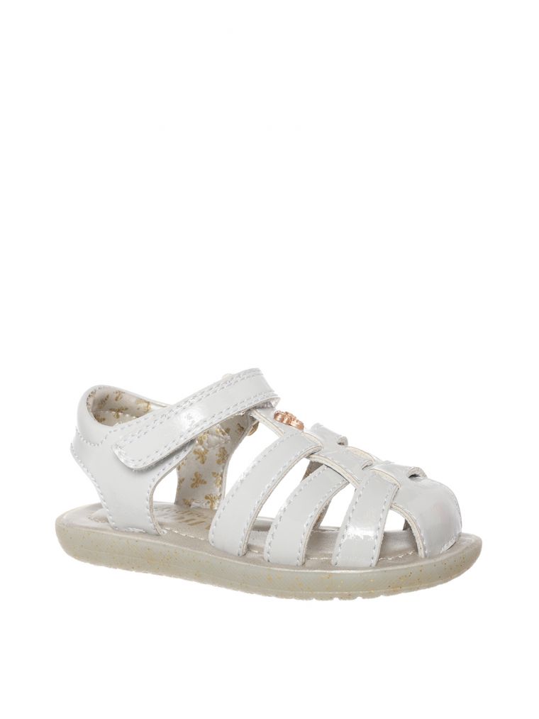 טינקרבל סגור מיאל