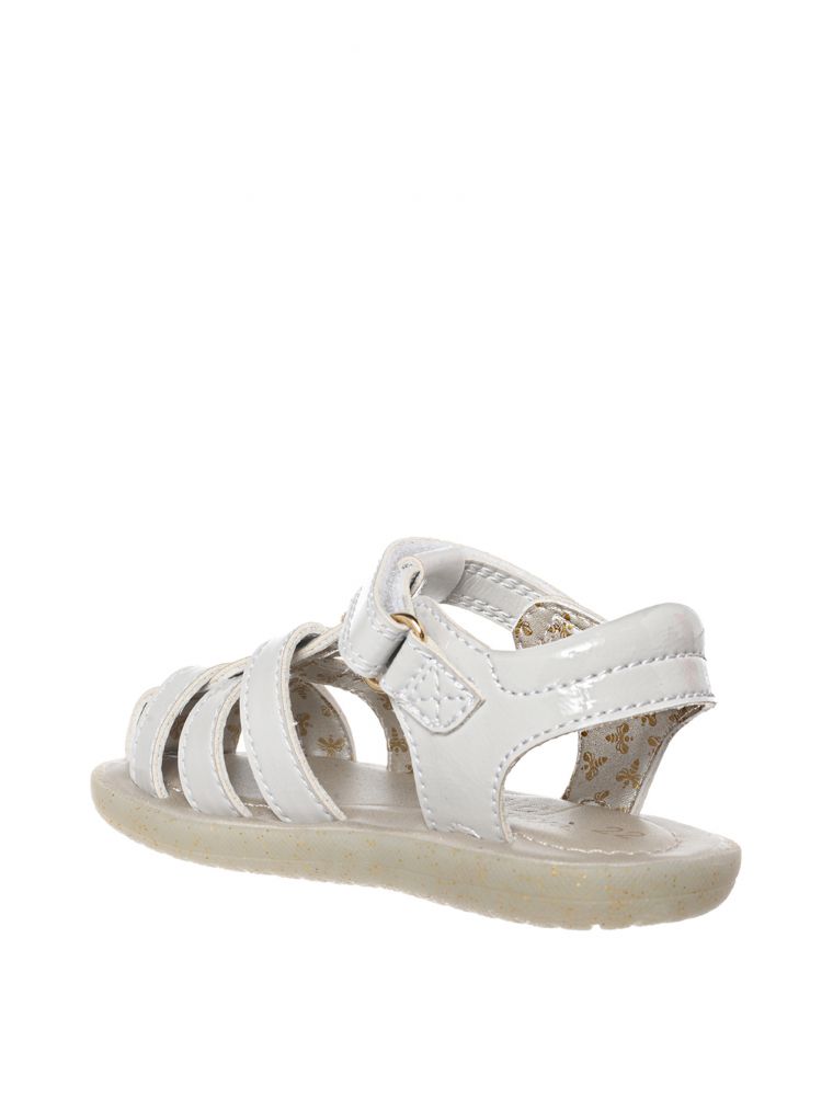 טינקרבל סגור מיאל