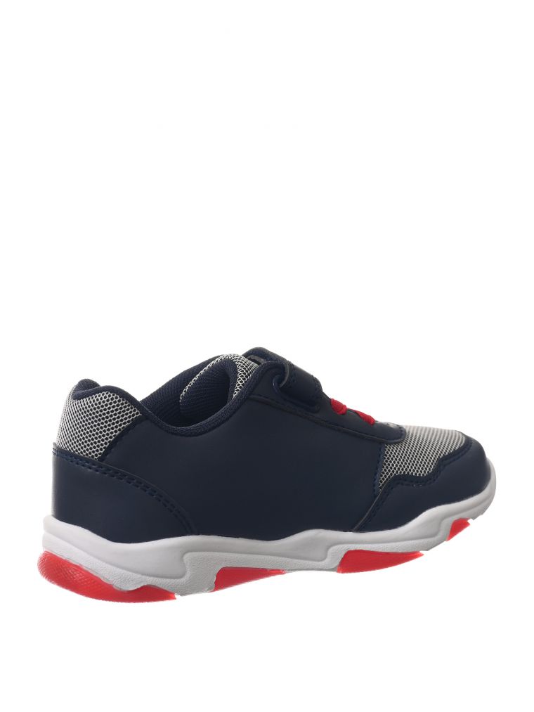 ספיידי ספורט אורות