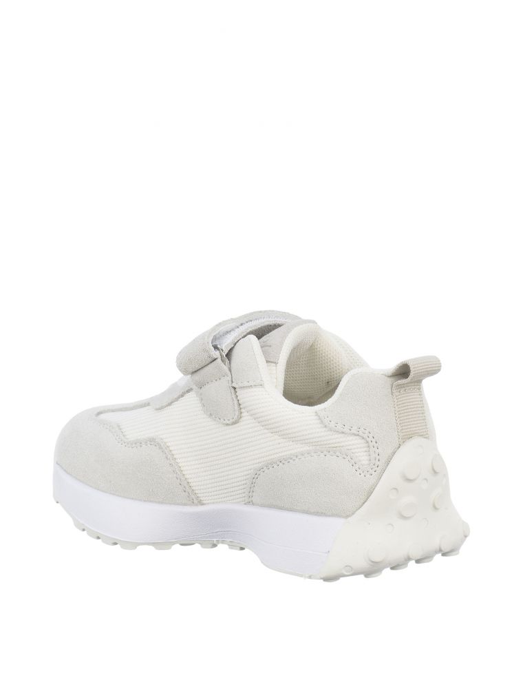 נופר סקוצ’ קלאסי