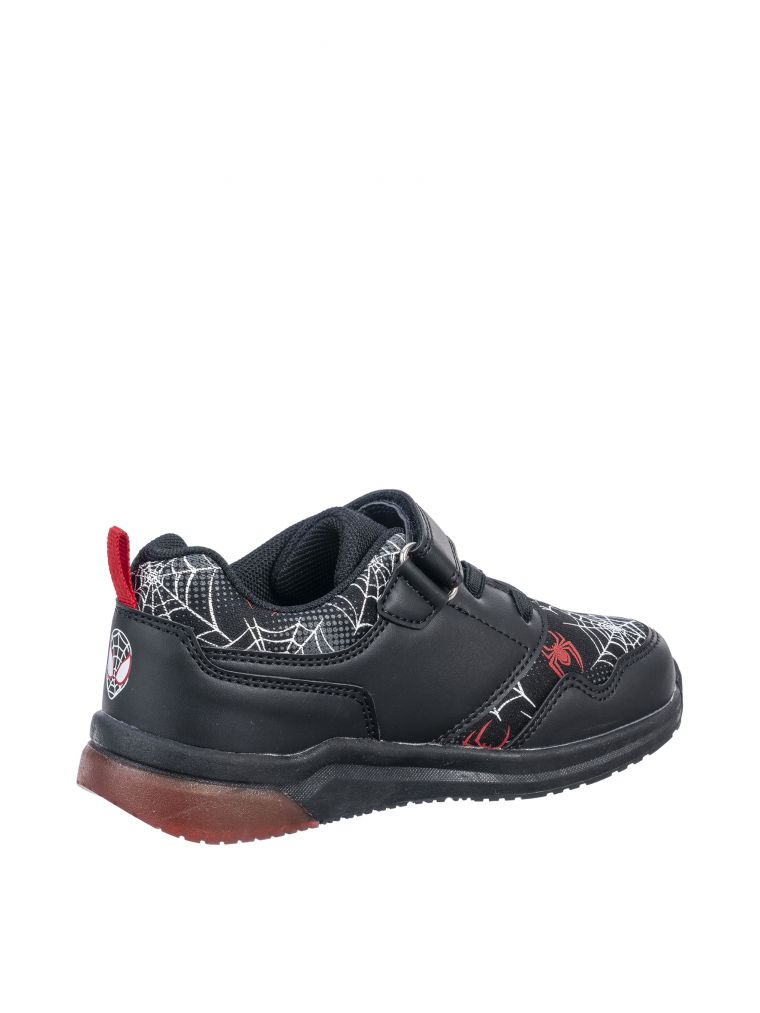 ספיידי מנורות