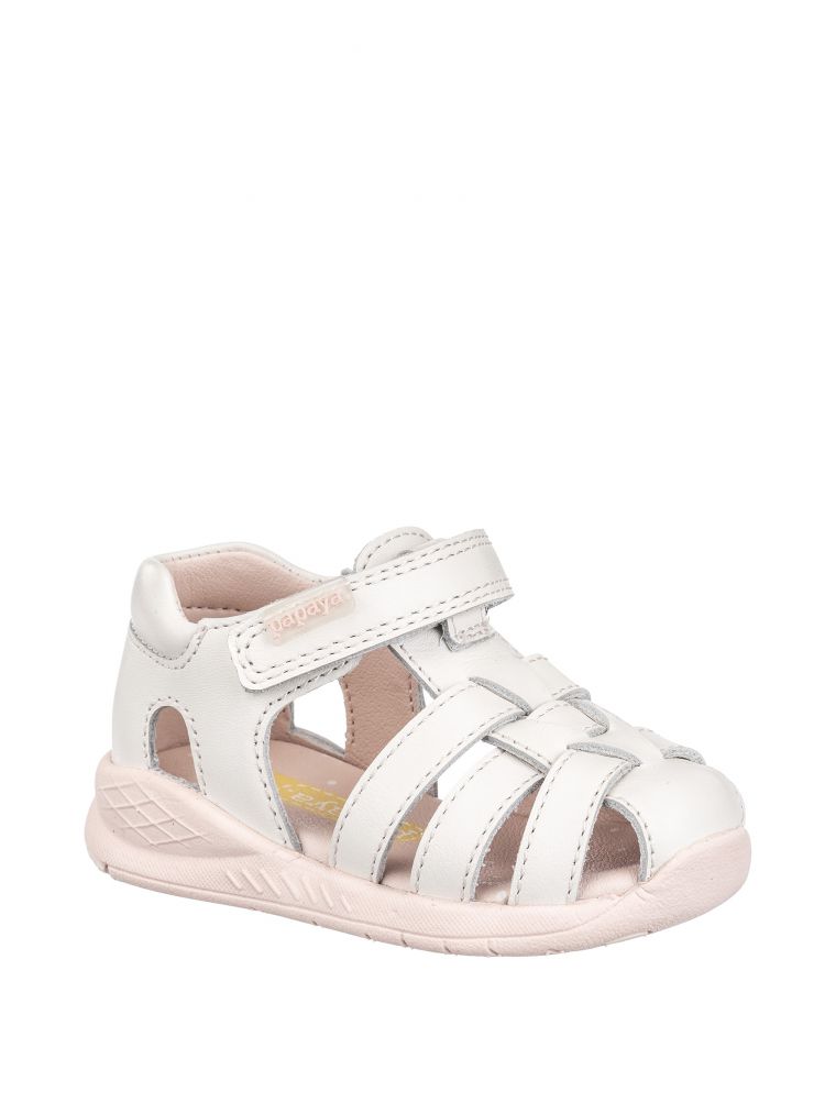 ספורטיפי קלוע