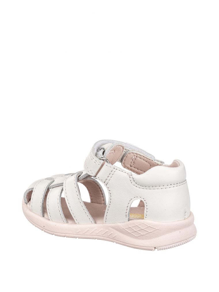 ספורטיפי קלוע