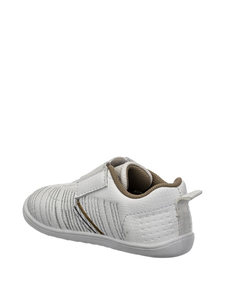 ווילי קטרגל