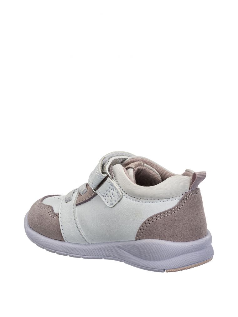 ספורטיפי ברק