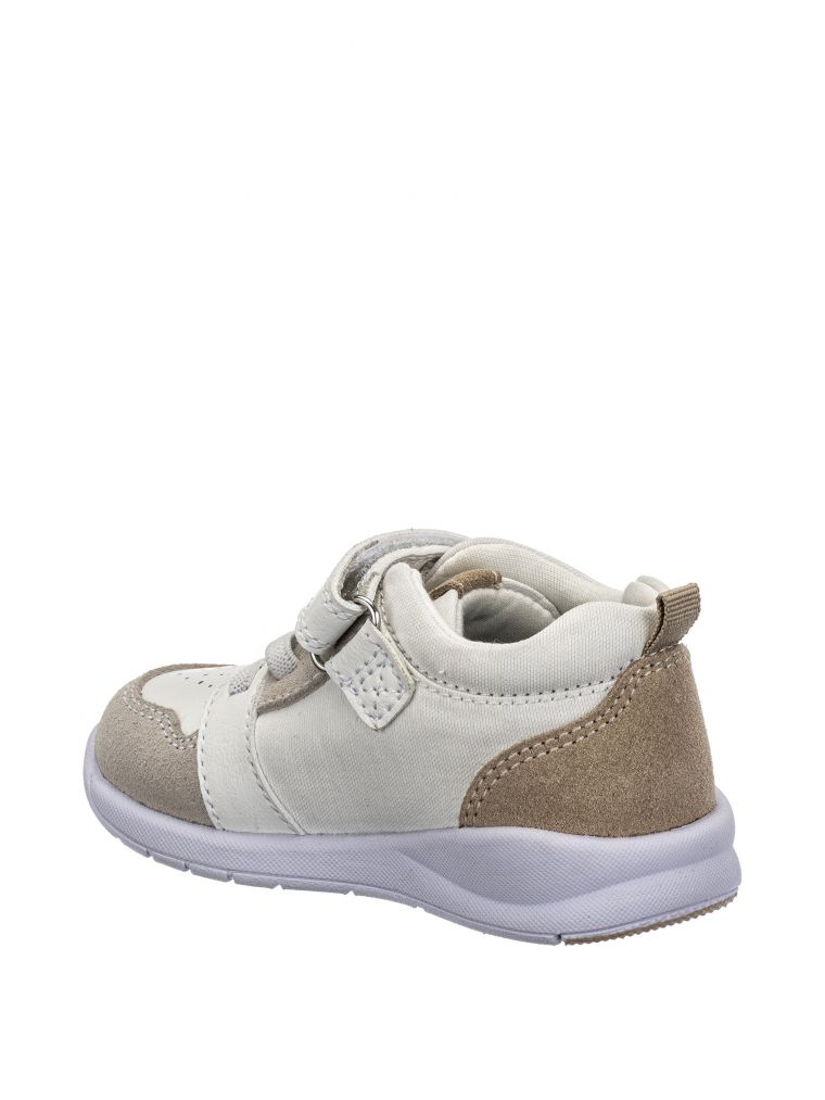 ספורטיפי ברק