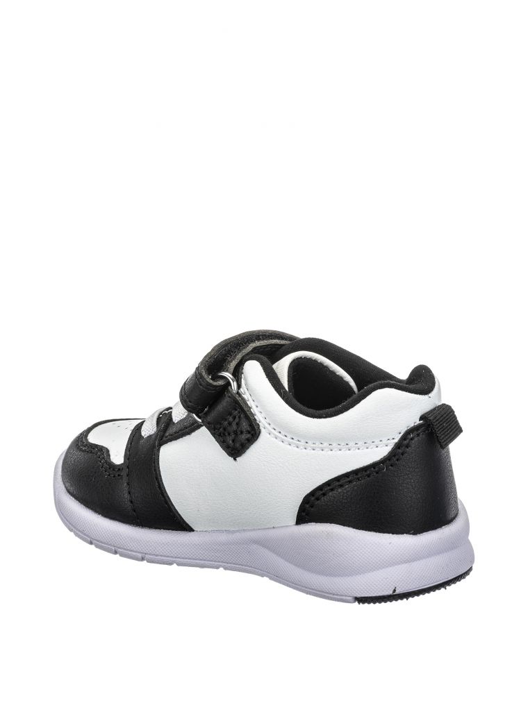 ספורטיפי ברק