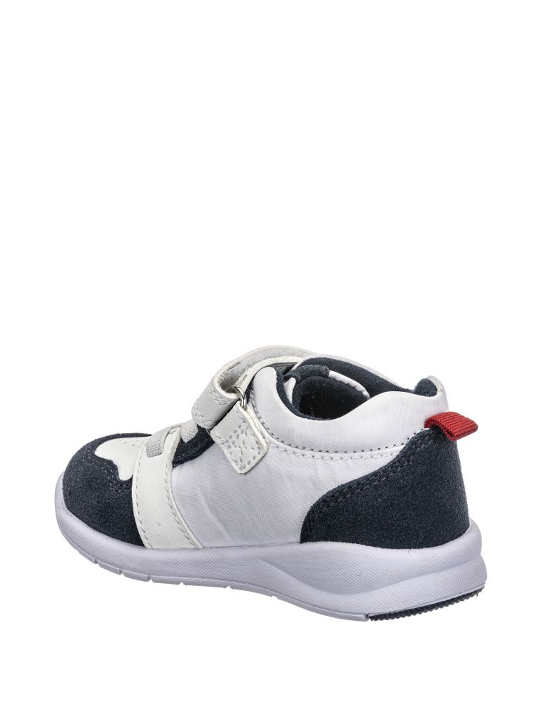 ספורטיפי ברק