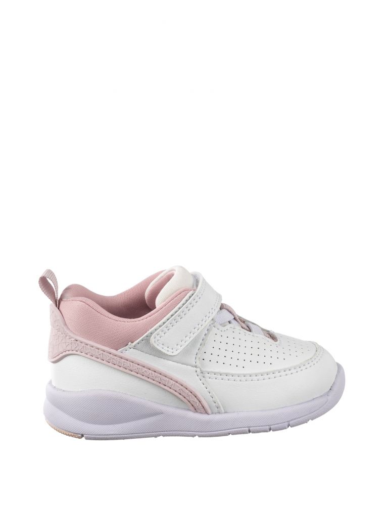 ספורטיפיי בסקט