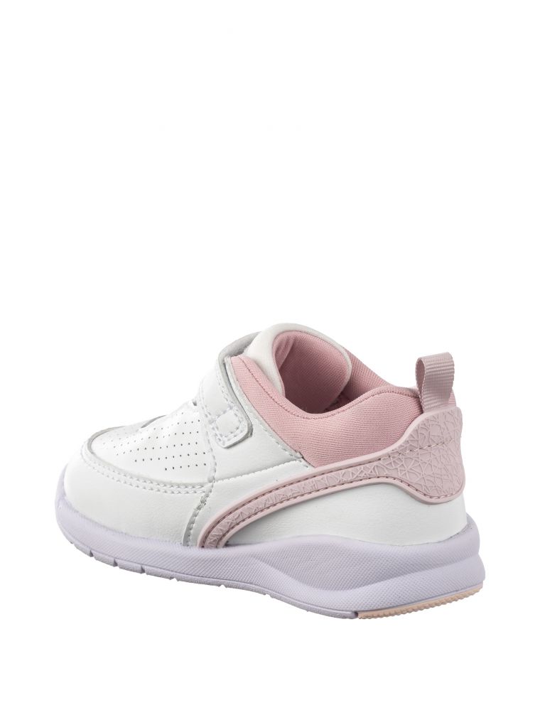 ספורטיפיי בסקט