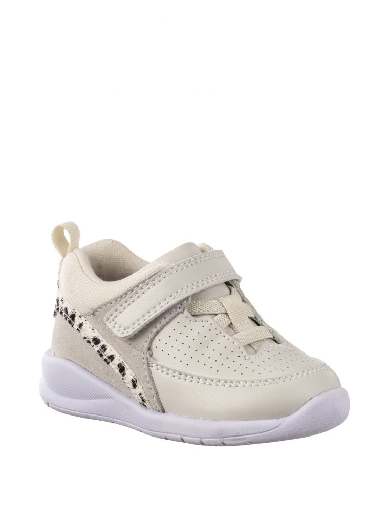 ספורטיפיי בסקט