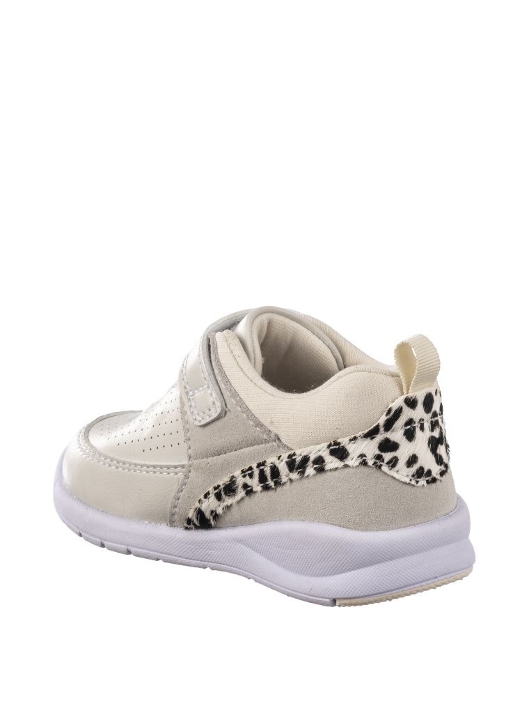 ספורטיפיי בסקט