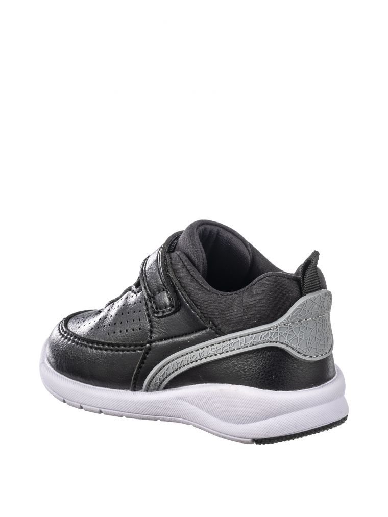 ספורטיפיי בסקט