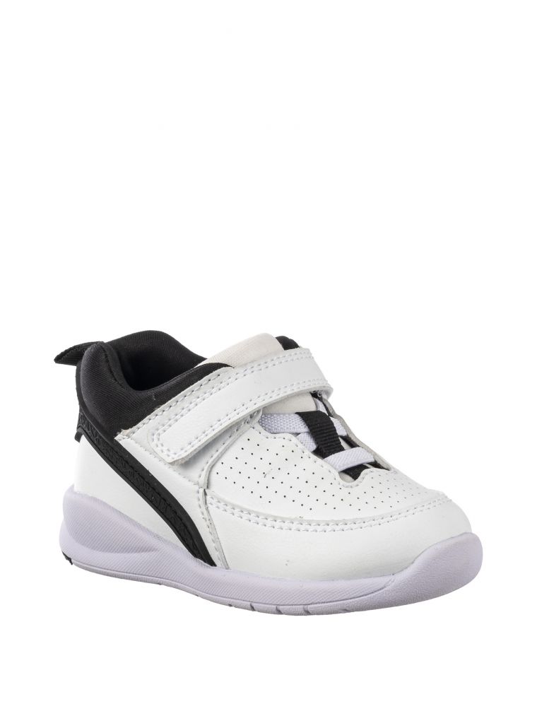 ספורטיפיי בסקט