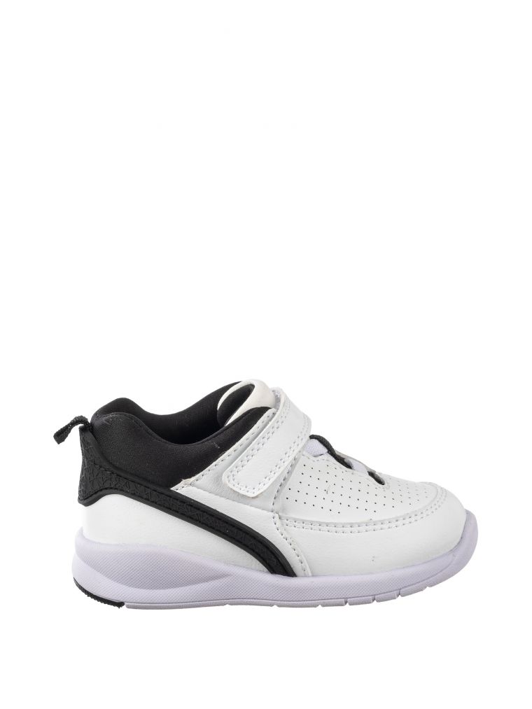 ספורטיפיי בסקט