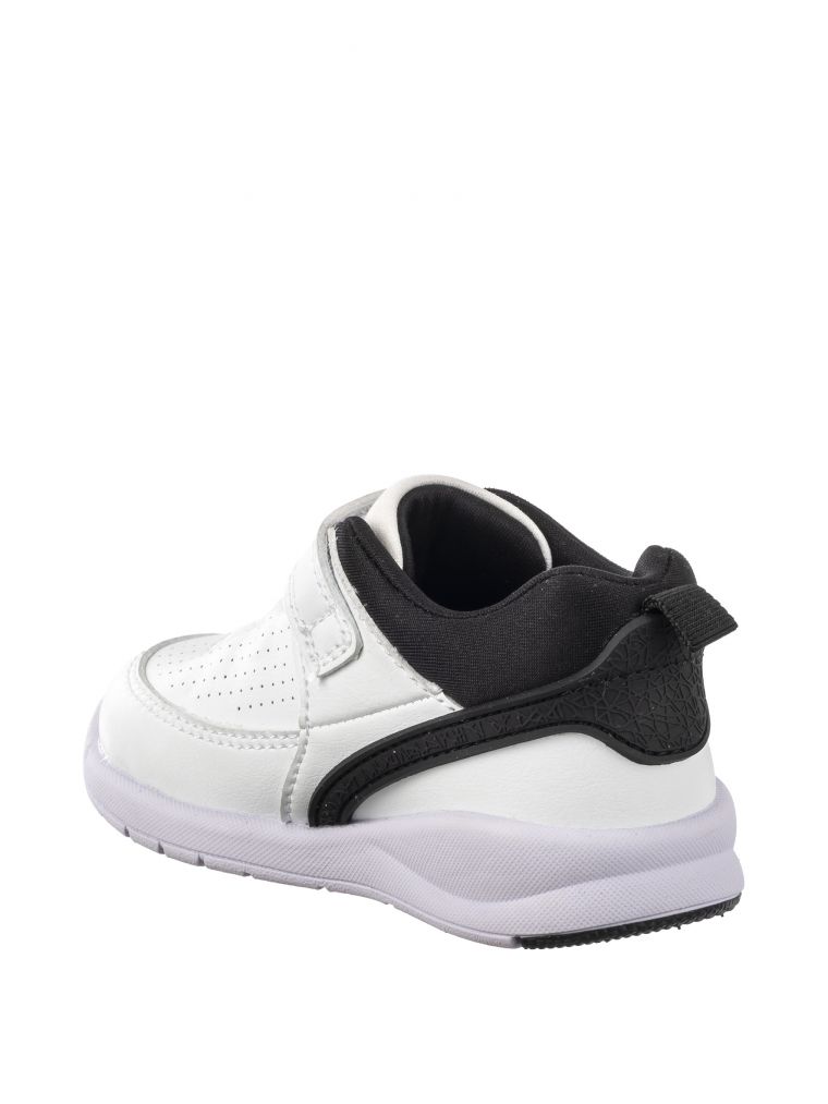 ספורטיפיי בסקט