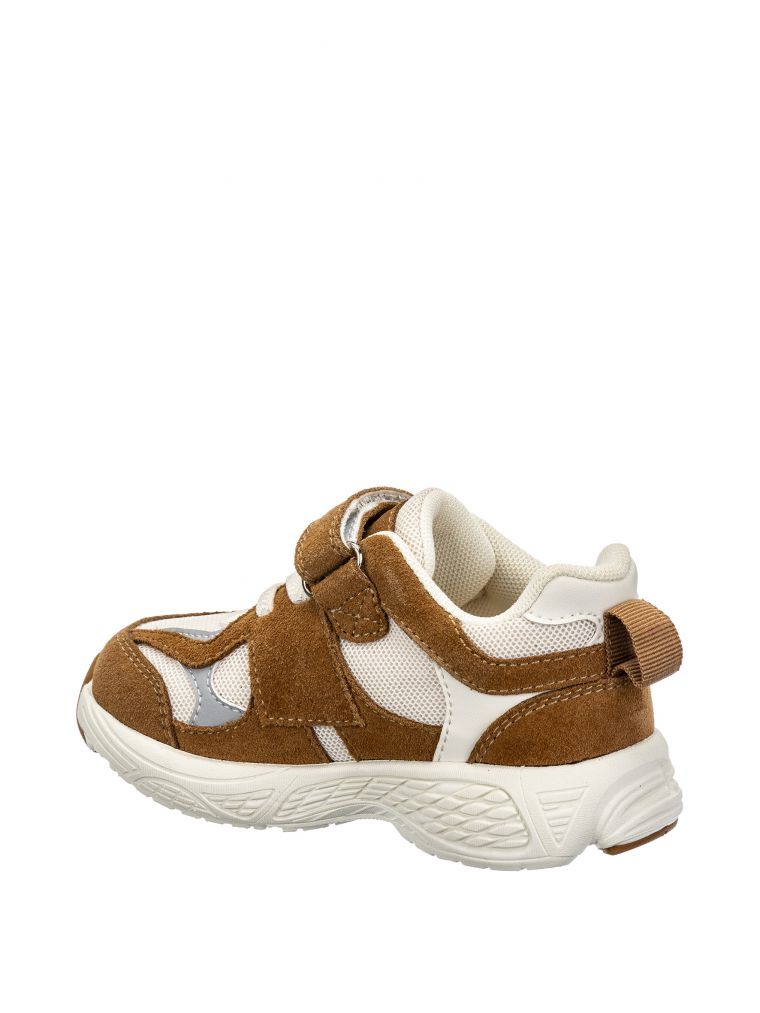 האבנה סקוצ’