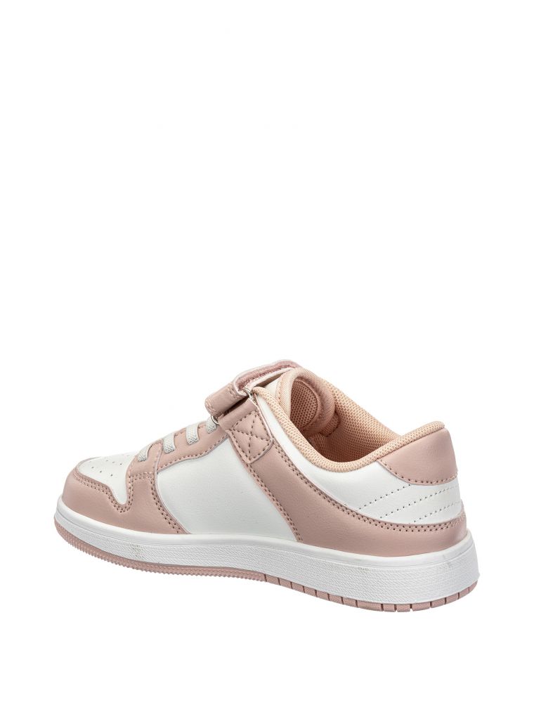 הוליס סקוץ’ קלאסי