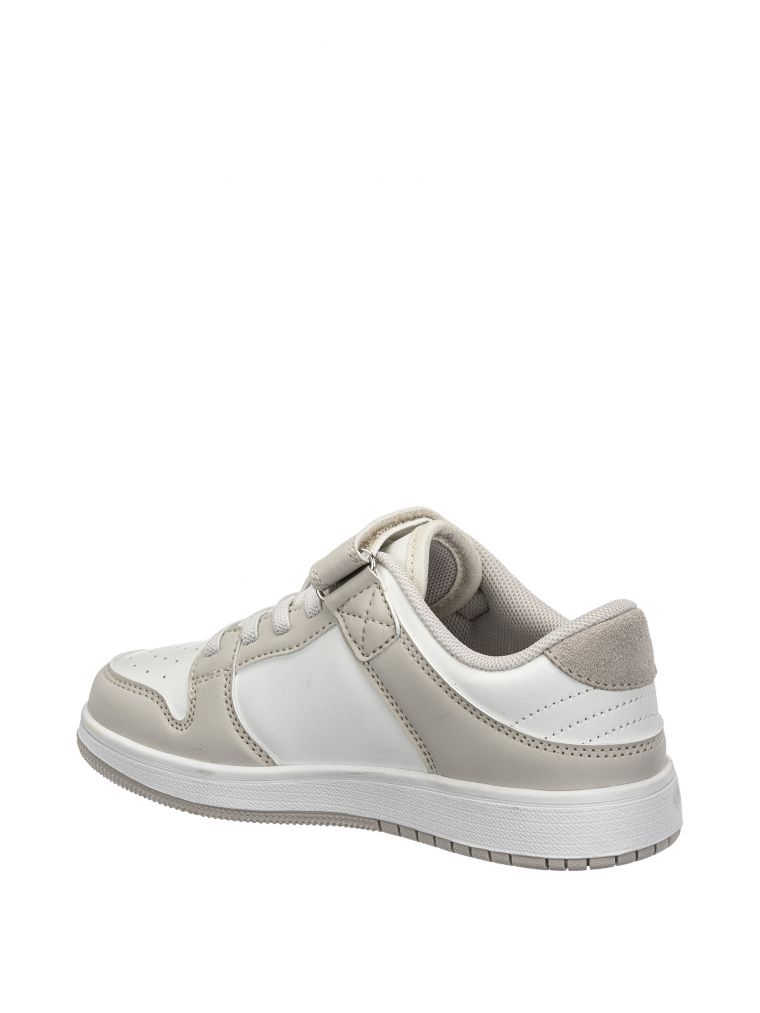 הוליס סקוץ’ קלאסי