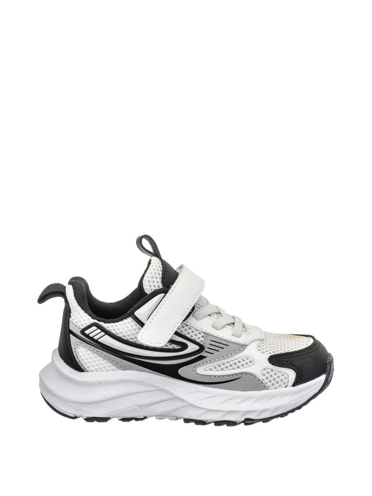 אשטון סקוץ’