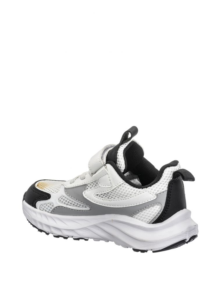 אשטון סקוץ’