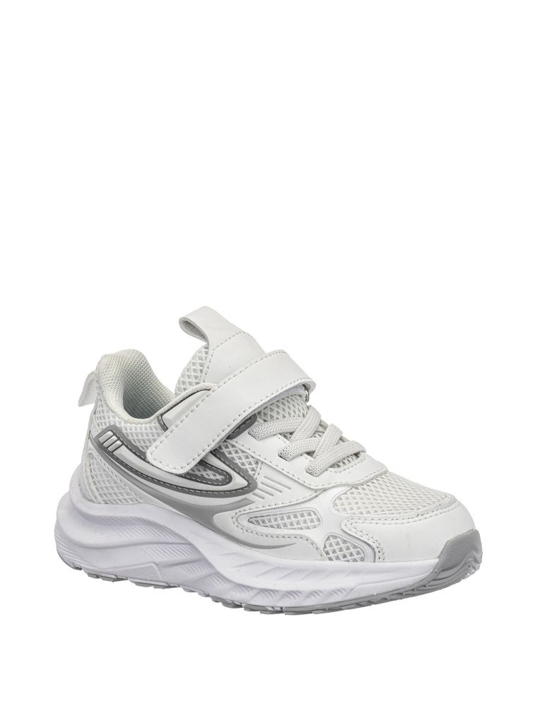 אשטון סקוץ’