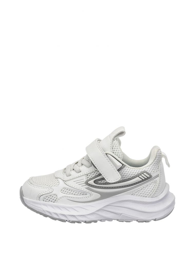 אשטון סקוץ’