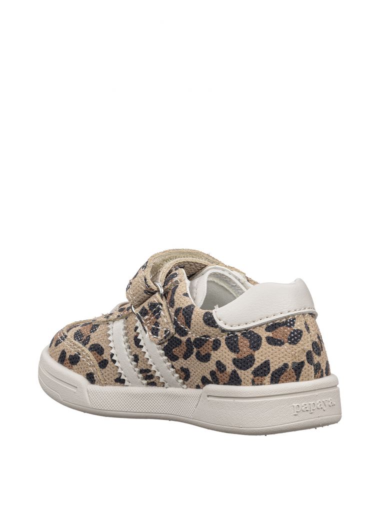 צעד שני פאשן לייט