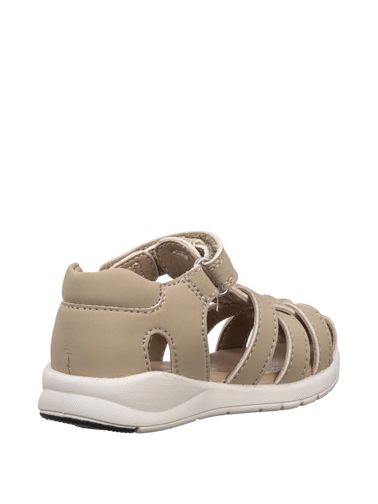 ספורטיפי קלאסי קלוע