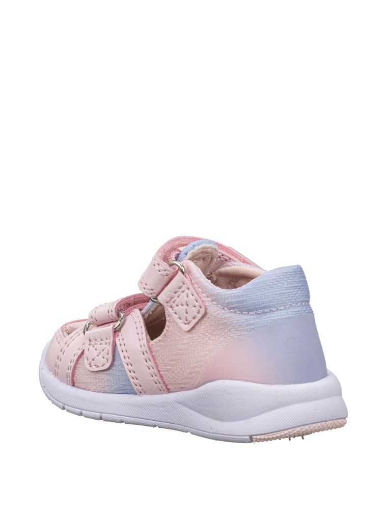 ספורטיפי אומברה