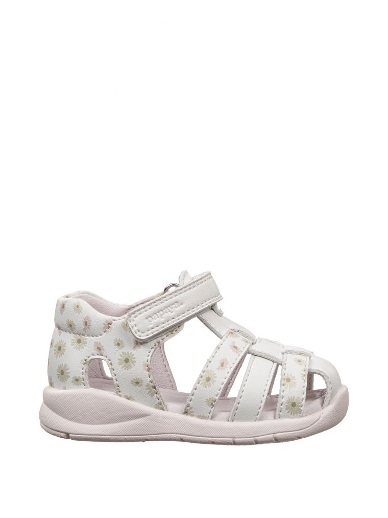 ספורטיפי פרחים