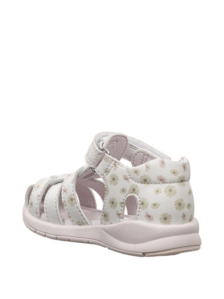 ספורטיפי פרחים