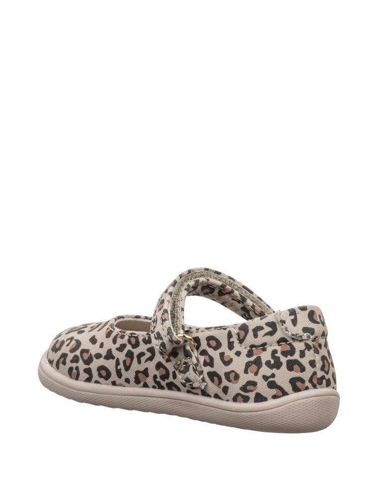 ווילי בובה חגיגית