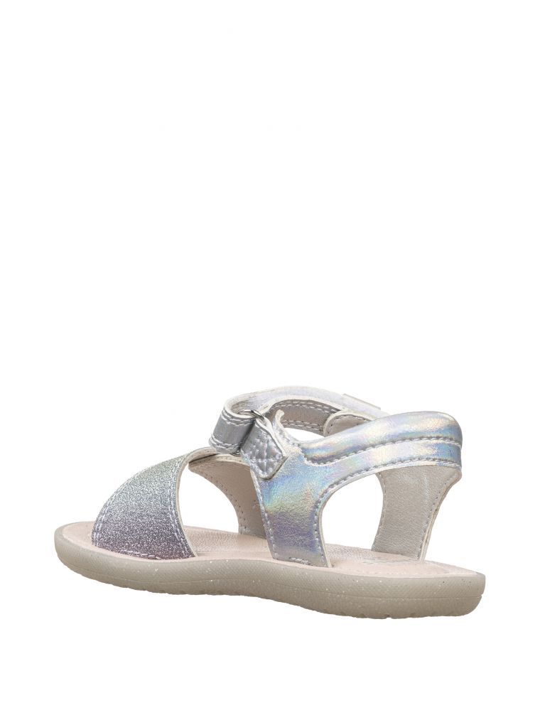 טינקרבל קשת