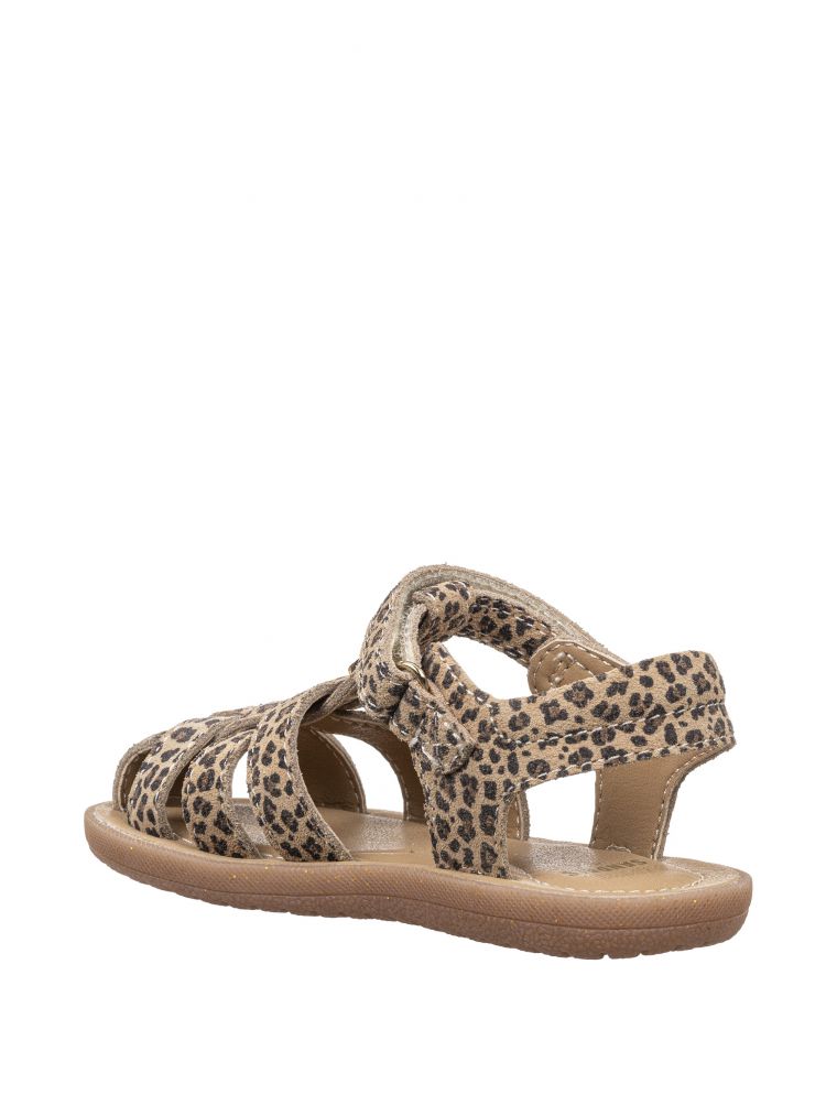 טינקרבל מיוחד סגור