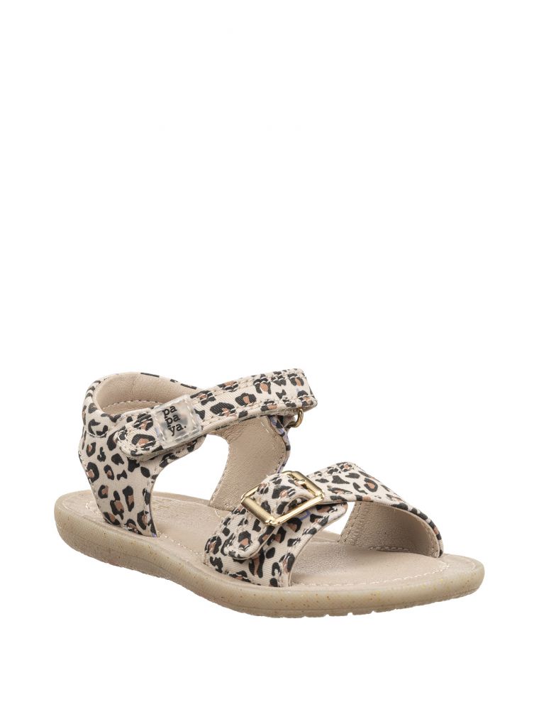 טינקרבל קנבס מנומר