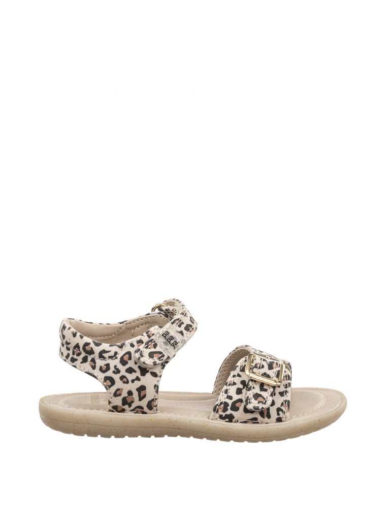 טינקרבל קנבס מנומר