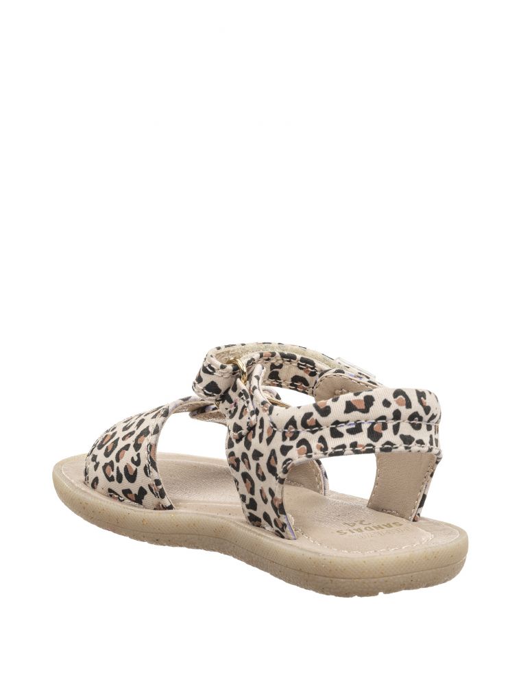 טינקרבל קנבס מנומר