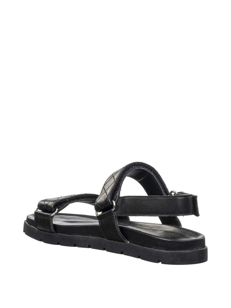 לילי סנדל תפרים