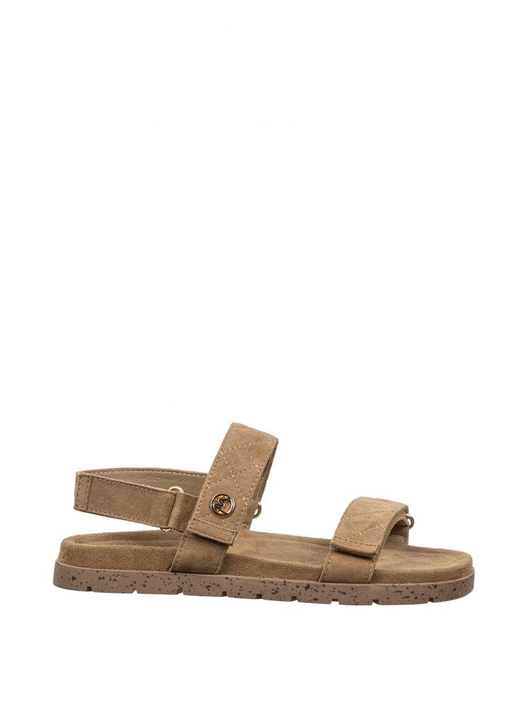 לילי סנדל תפרים