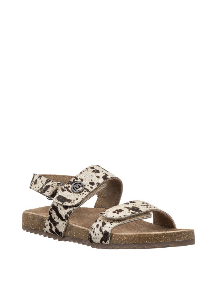 לקסי שני סקוצי’ם