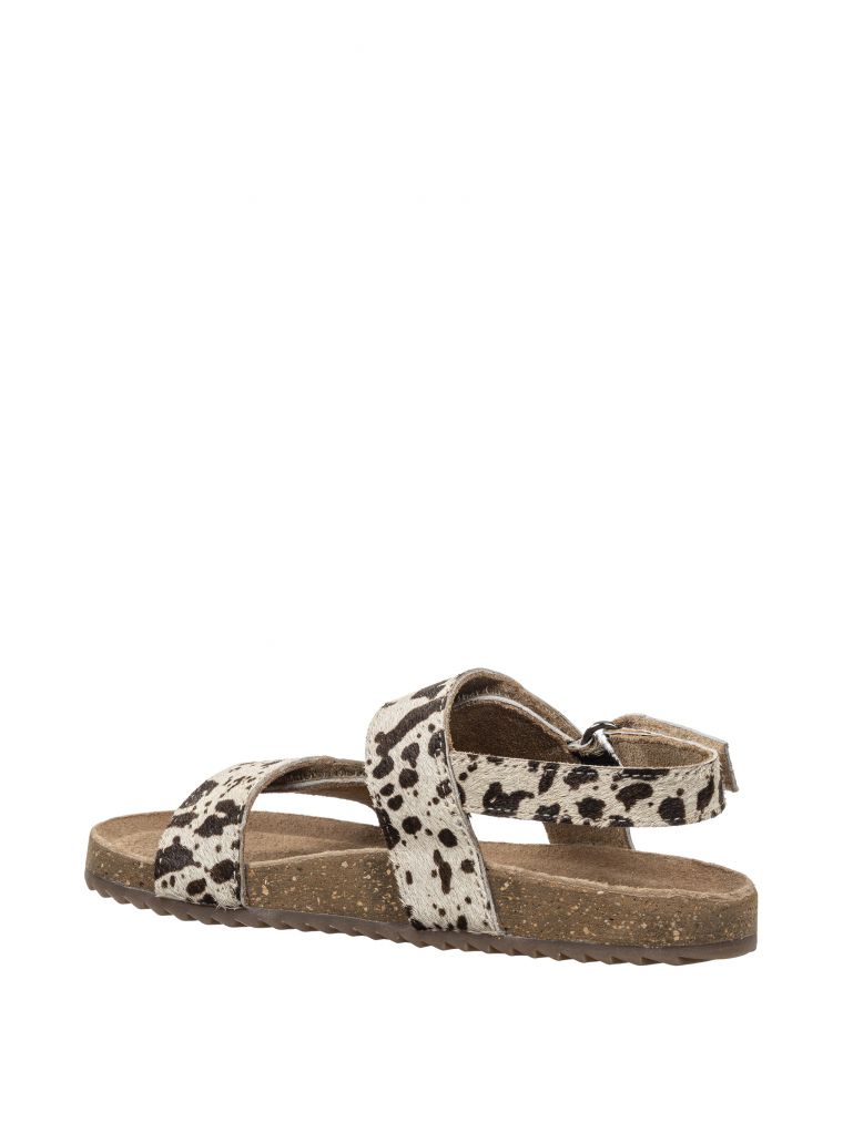 לקסי שני סקוצי’ם